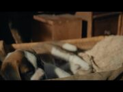 Barry and Me | Official Trailer