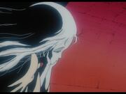 ANGEL'S EGG | On 4K UHD & Blu-ray