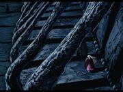 ANGEL'S EGG | On 4K UHD & Blu-ray