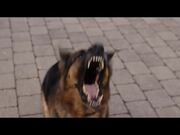 Focker-In-Law | Official International Trailer