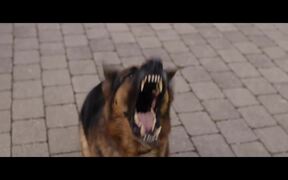 Focker-In-Law | Official International Trailer