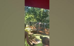 Crazy Insane Fails