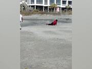 Funny Fails