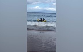 The Funniest Summer Fails