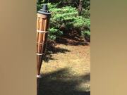 The Funniest Summer Fails