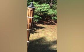 The Funniest Summer Fails