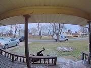 Amazing Fails