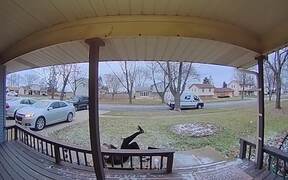 Amazing Fails