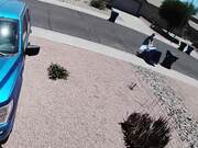 The Best Summer Fails
