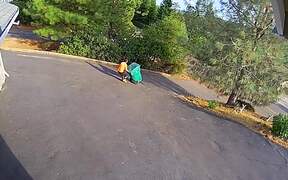 The Best Summer Fails