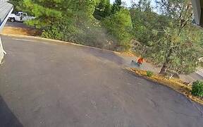 The Best Summer Fails