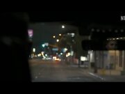 Animals Trailer