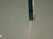 Musk | Official Teaser