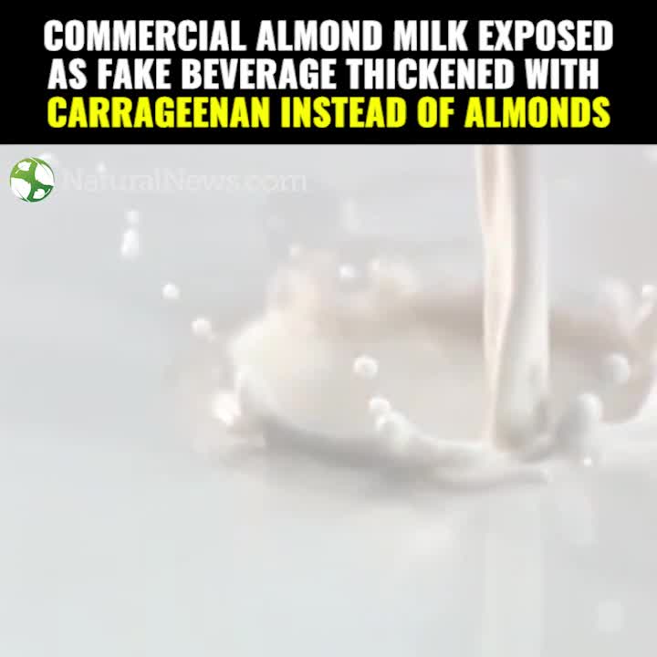 Commercial Almond Milk Exposed as Fake