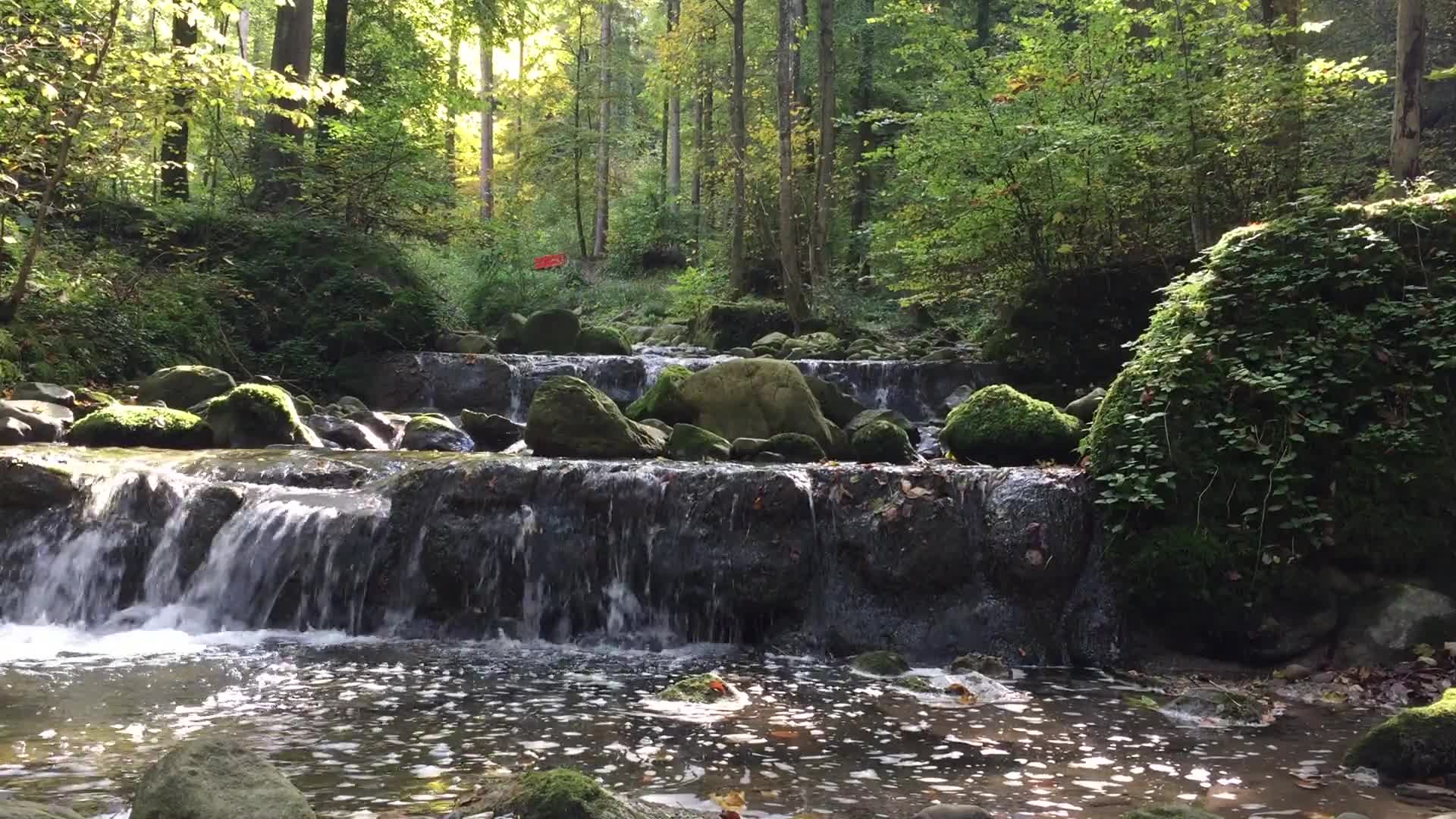 A Relaxing View And Sound Of The Waterfall