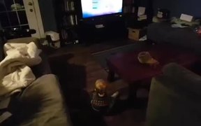 Baby Loves Jeopardy - Kids - VIDEOTIME.COM