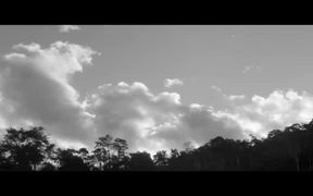Vazante Official Trailer - Movie trailer - VIDEOTIME.COM