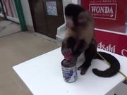 Monkey Using a Vending Machine