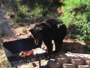 Bear Wants Barbeque