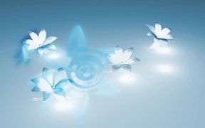 White and Blue Flowers - Anims - VIDEOTIME.COM