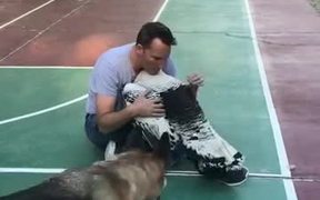 Dog Gets Jeleous Of Turkey - Animals - VIDEOTIME.COM