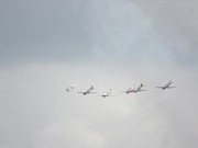 Group Aerobatic Plane