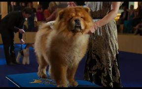 Show Dogs Trailer - Movie trailer - VIDEOTIME.COM