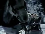 Bud Light - Farting Horse