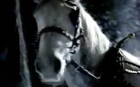 Bud Light - Farting Horse - Commercials - VIDEOTIME.COM