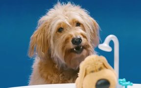 The Showering, Shaking, Doggy Bathing Game - Commercials - VIDEOTIME.COM