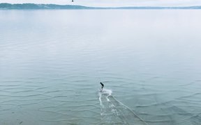Drone Surfing - Sports - VIDEOTIME.COM