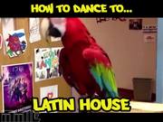 How To Dance To