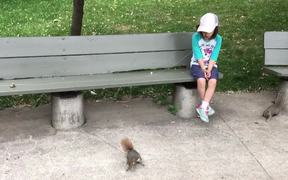 Pulling A Tooth Using A Squirrel - Animals - VIDEOTIME.COM