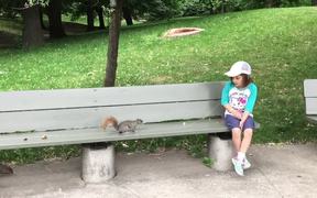 Pulling A Tooth Using A Squirrel - Animals - VIDEOTIME.COM