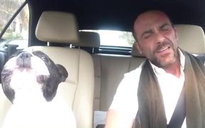 Dog And Owner Duet