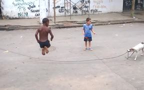 Dog Playing Jump Rope - Animals - VIDEOTIME.COM