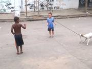 Dog Playing Jump Rope