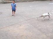 Dog Playing Jump Rope