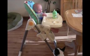 Cute Dogs And Babies - Animals - VIDEOTIME.COM