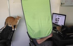 How To Survive Working With Cats - Animals - VIDEOTIME.COM
