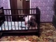 Baby Makes Clever Escape