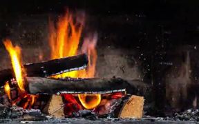 Log Fire Timelapse - Fun - VIDEOTIME.COM