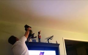 Man And Cat Team Up To Catch A Bug - Animals - VIDEOTIME.COM