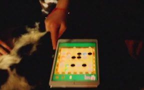 BallCrusher - Games - VIDEOTIME.COM