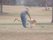 Dog Wont Leave The Park