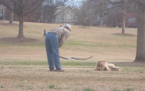 Dog Wont Leave The Park - Animals - VIDEOTIME.COM
