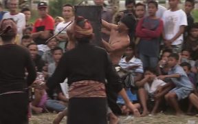 Traditional Indonesian Gladiator Fight - Fun - VIDEOTIME.COM