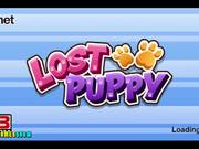 Lost Puppy Walkthrough - Games - Y8.COM