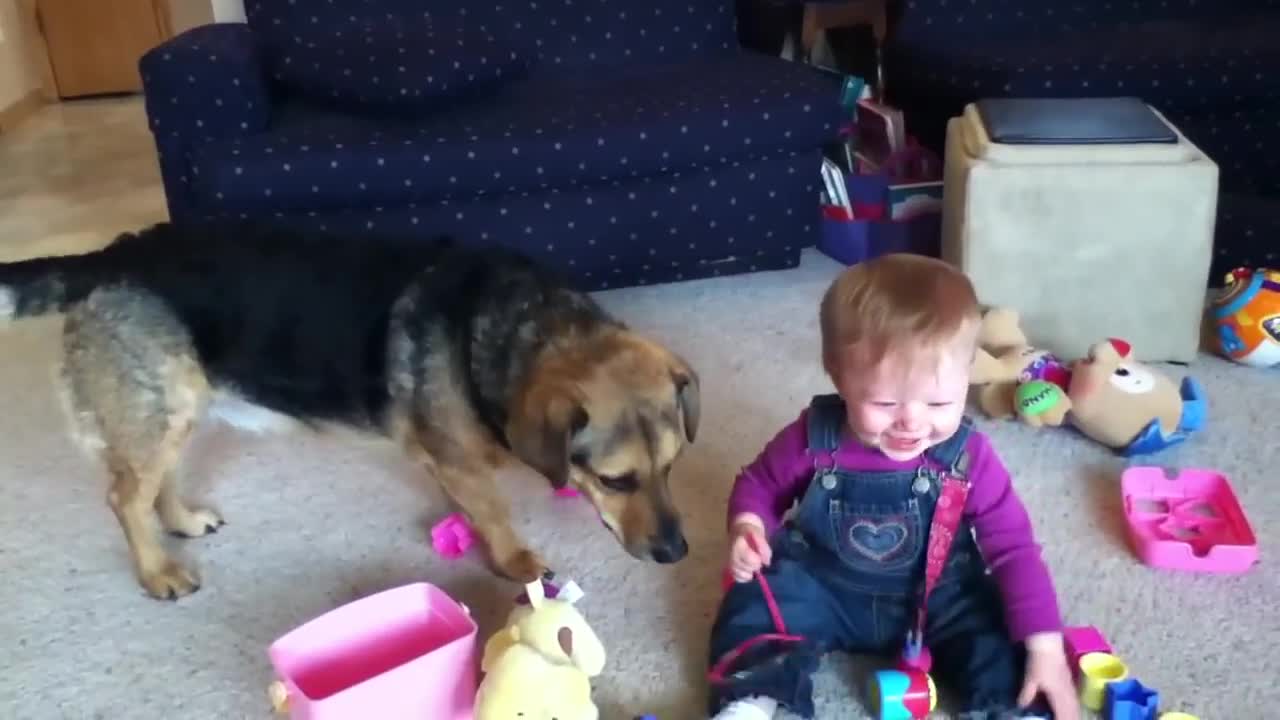 Baby Laughs At Bubble Eating Dog - Animals - Videotime.com