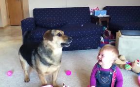Baby Laughs At Bubble Eating Dog - Animals - VIDEOTIME.COM